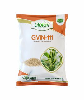 GVIN-111 (Sesame Seeds)