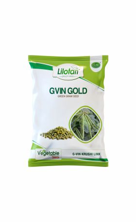 GVIN GOLD (Green Gram Seed)