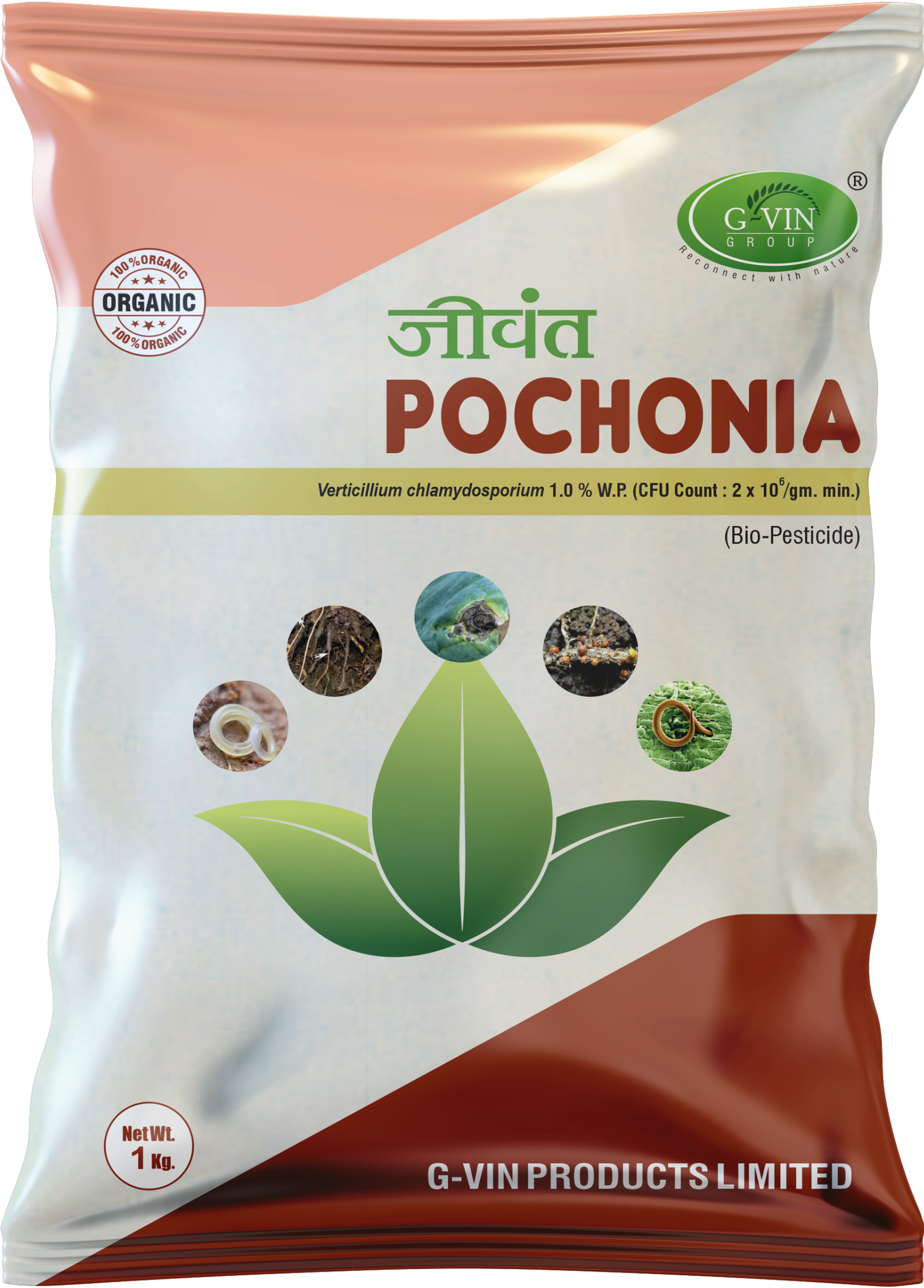 Jivant Pochonia