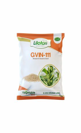 GVIN-111 (Sesame Seeds)