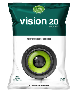 Vision 20