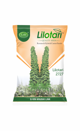 Lilotari - 2727 (Research Hybrid Castor Seeds)