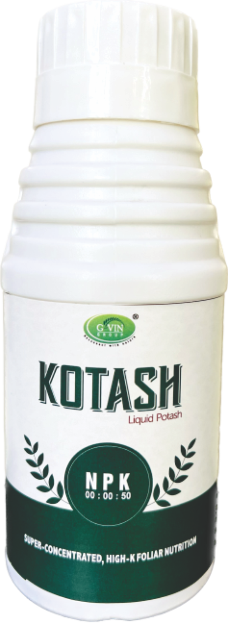 Kotash
