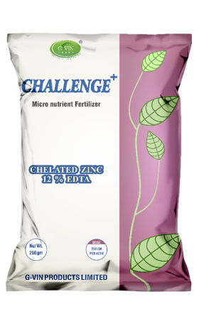 Challenge Plus